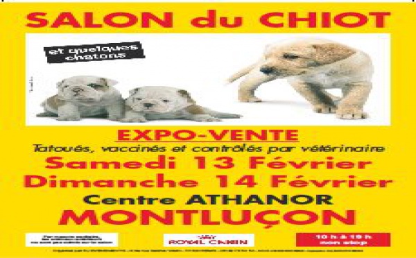 Salon du chiot