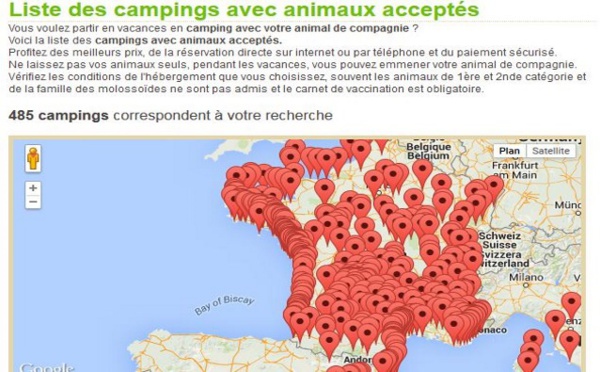 Où et comment partir en camping avec son animal de compagnie?