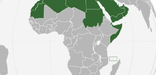 L'illusion du "printemps arabe" soulignée par l’Émir du Koweït au sommet de la Ligue arabe