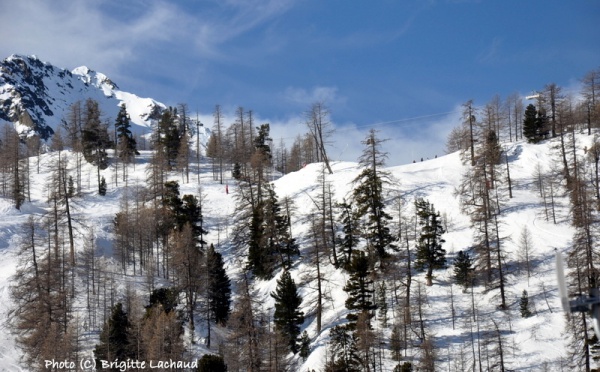 LES TOQUES REFONT DU SKI A ISOLA 2000 - MERCANTOUR