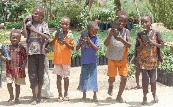 France Line plante 20 arbres en Afrique!