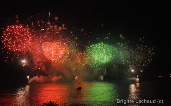 Meilleur article de la semaine passée - FEU D'ARTIFICE DU 14 JUILLET: PARIS LE DEDIE A L'ORGANISATION INTERNATIONALE DE LA FRANCOPHONIE