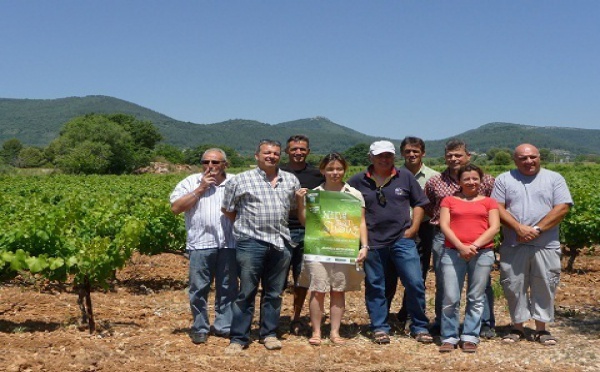 Les vignerons coopérateurs du Var en fête