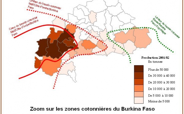 Filière cotonnière: La confiance des banques draine une pluie d'argent frais et rassure les acteurs