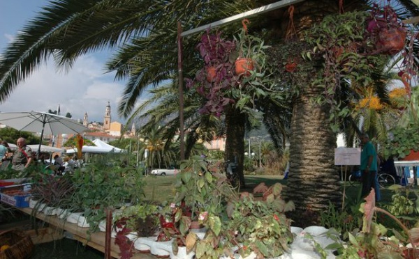 20es JOURNEES MEDITERRANEENNES DU JARDIN