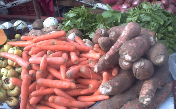 Premier forum pour une révolution verte : les Africains au chevet de leur agriculture