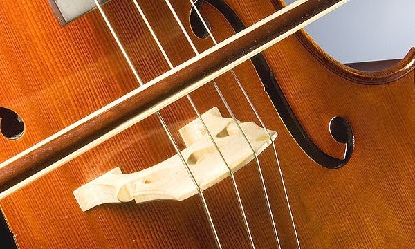 IMAGE DU JOUR: Violoncelle