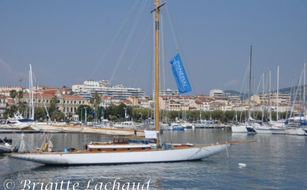 REGATES ROYALES DANS LA BAIE DE CANNES