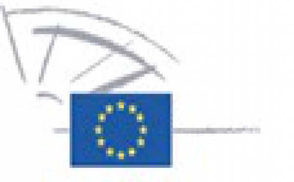 Le futur budget et les ressources propres de l'UE