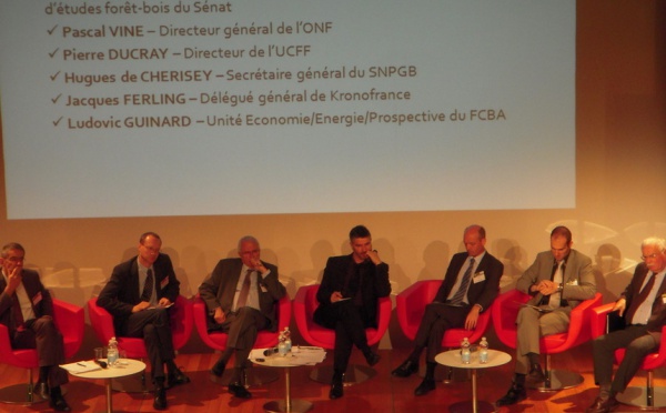 Bois énergie : ressources et développement à l’horizon 2020