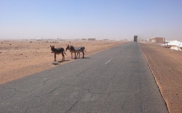 Ca s'est passé ces derniers jours en Mauritanie