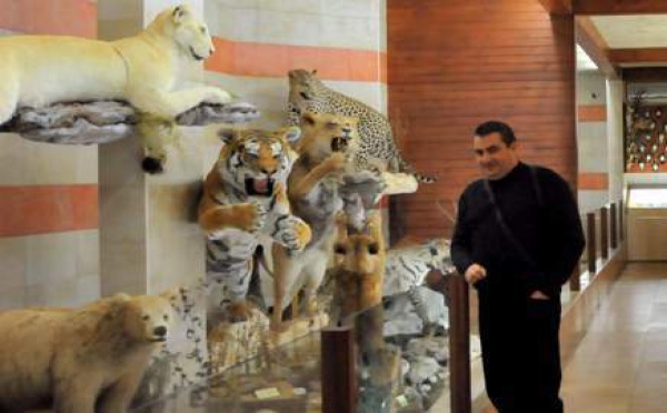 Un musée de la faune à côté du lac