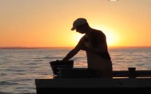 Portrait d'un marin pêcheur artisan