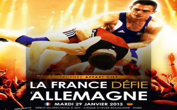 Championnat de France de Lutte 2013