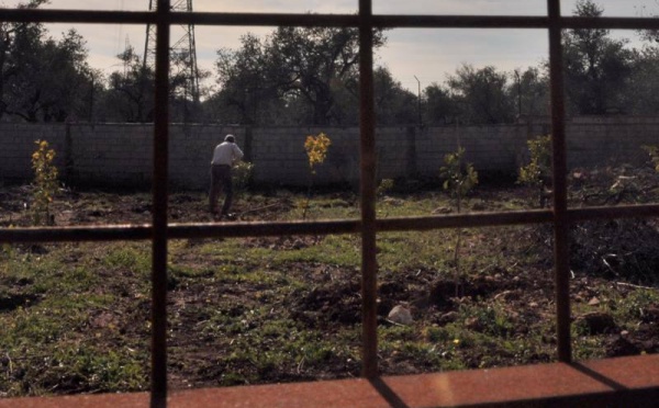 L’IMAGE DU JOUR – Labourer la terre