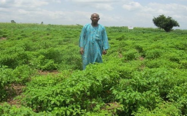 Bénin: Les communautés à l'épreuve de l'adaptation aux changements climatiques