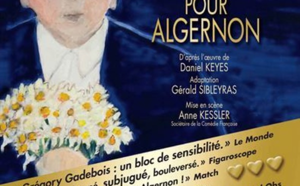 Des fleurs pour Algernon à Paris