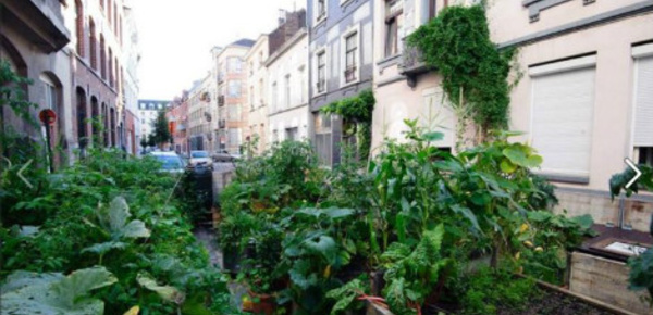 La révolution verte fleurit à Bruxelles