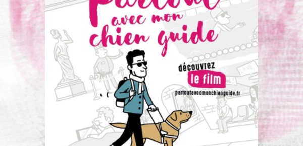 Entrée libre pour les chiens guides