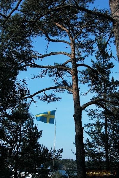 Suede_04.jpg Suede_04.jpg