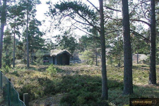 Suede_05.jpg Suede_05.jpg