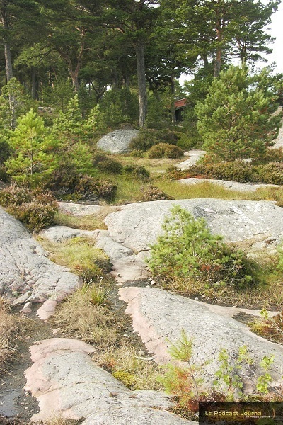 Suede_07.jpg Suede_07.jpg