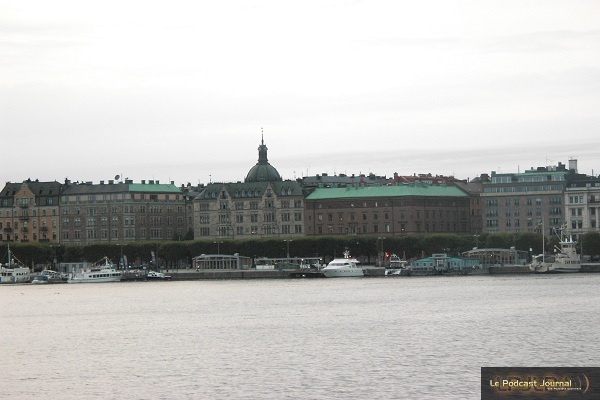 Suede_17.jpg Suede_17.jpg