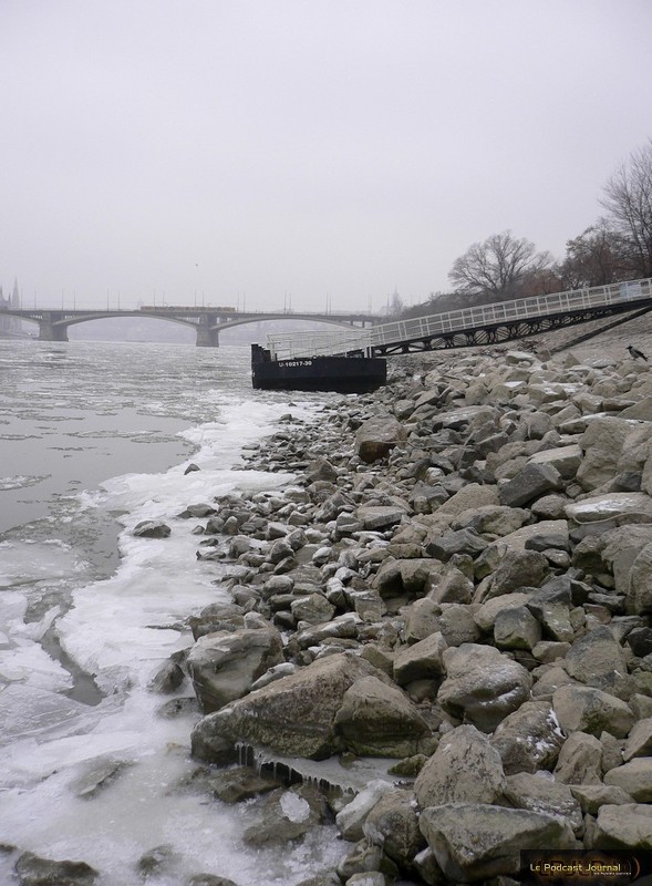 île Marguerite, Budapest, janvier 2009. Photo Agnès Fontaine île Marguerite, Budapest, janvier 2009. Photo Agnès Fontaine
