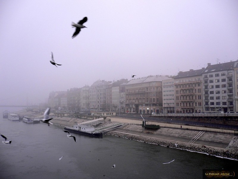 Pest, février 2009. Photo Agnès Fontaine Pest, février 2009. Photo Agnès Fontaine