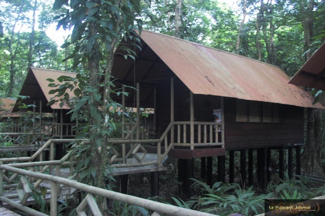 PICT4929.JPG PICT4929.JPG